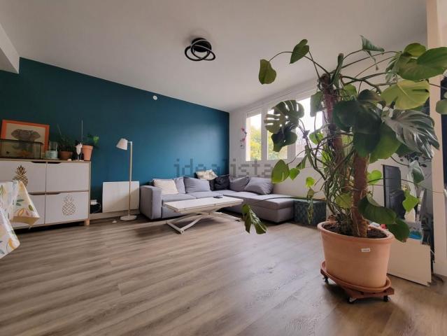 Maison, Toulouse