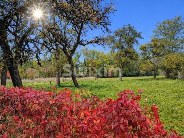 Contamine Sur Arve Terrain 550 M2