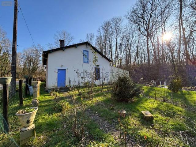 Maison, Thenay