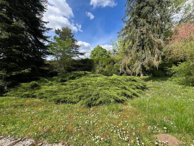 Maison spacieuse avec jardin à Poligny