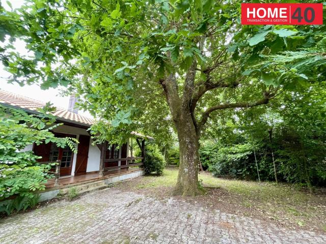 Maison traditionnelle proche lac 4 chambres 126m² Sanguinet