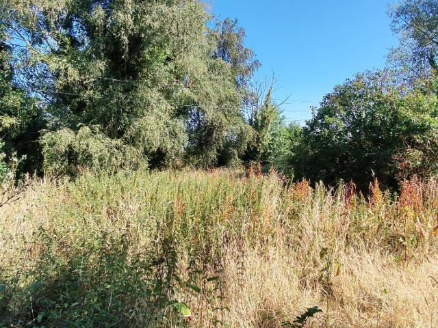 Maison type longère 83 M2 sur 2000 M2 de terrain