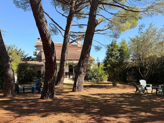 Maison, Vaison la Romaine