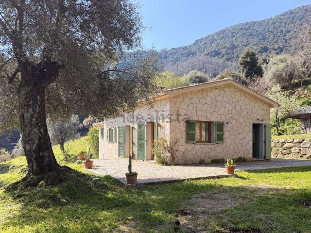 Maison, Vico