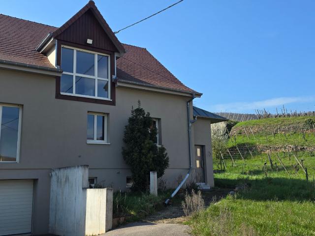 Maison vignoble sur 15 ares de terrain