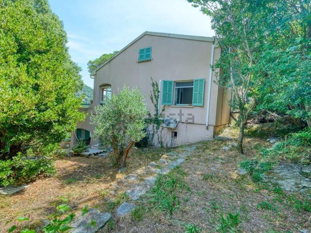 Maison, Ville di Pietrabugno