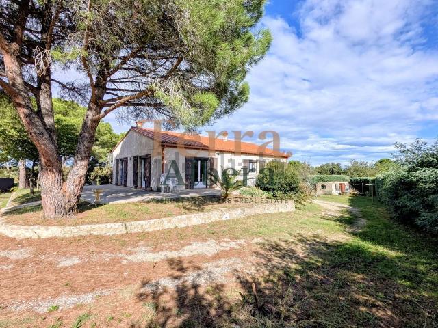 Maison, Villelongue dels Monts