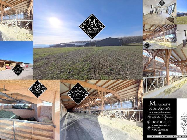 Maison, Viry