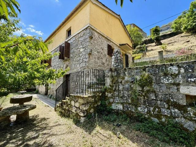 Maison, Zoza