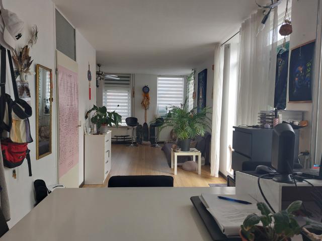 Maisonette met groot dakterras, centrum v Zaandam