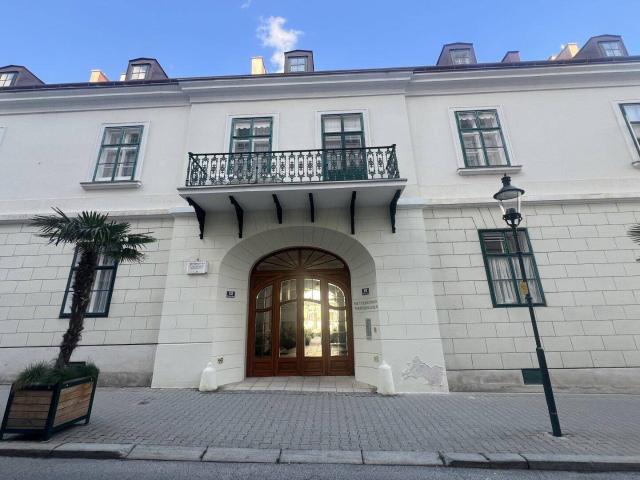 Maisonette Wohnung Bestlage in Baden Metternichhof NEUER PREIS!