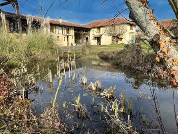 Maison/Gîte, Miellerie, Terrain