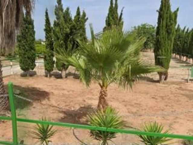 Majestuosa Masía en Sagunto, a Pocos Pasos de la Playa Almarda