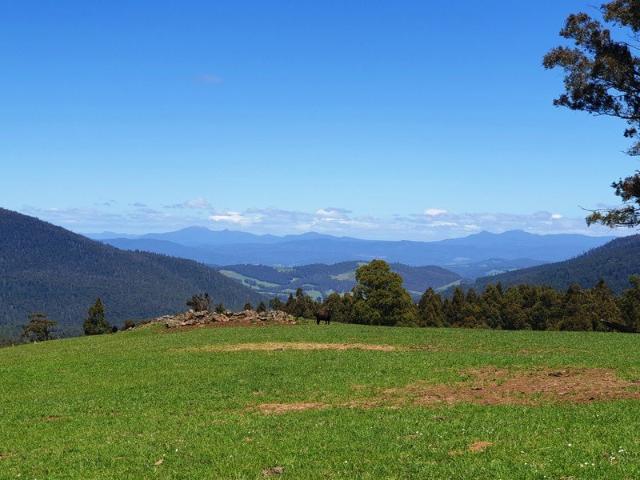 Majestic Views from 51 Acre Farming Lot
