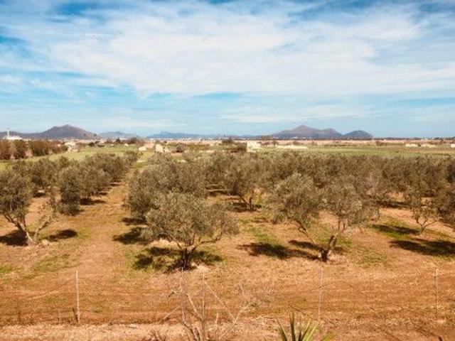 Majorcan country house in Muro with a lot of living space and panoramic views
