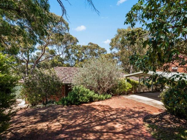Make Your Mark in Flagstaff Hill