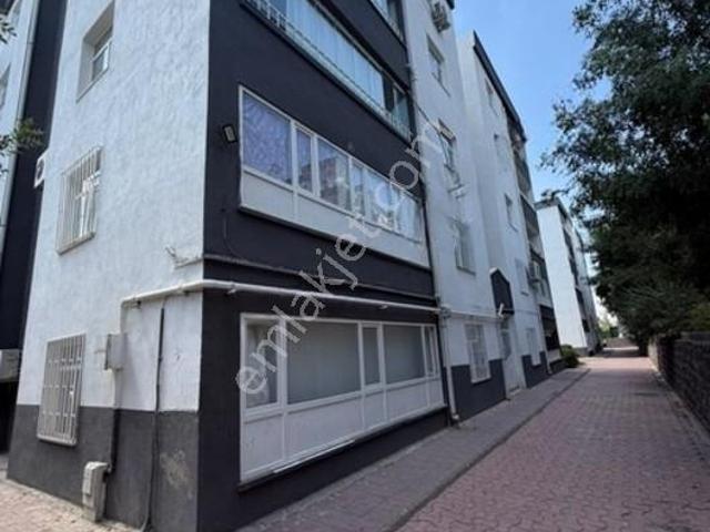 Makrolife Gayrimenkulden Kiralık