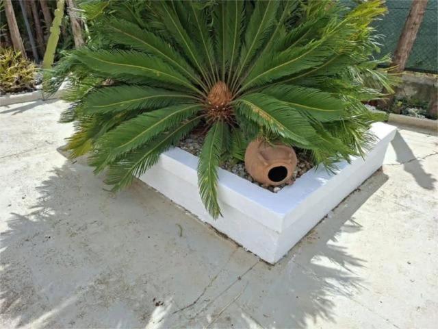 Málaga