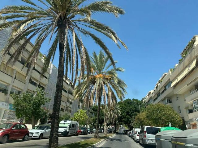 Málaga
