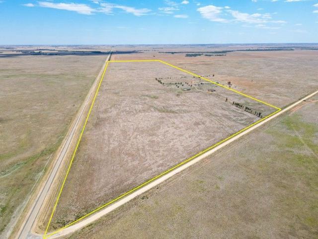 MALLEE CROPPING GROUND
