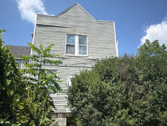 Maple Ave NE