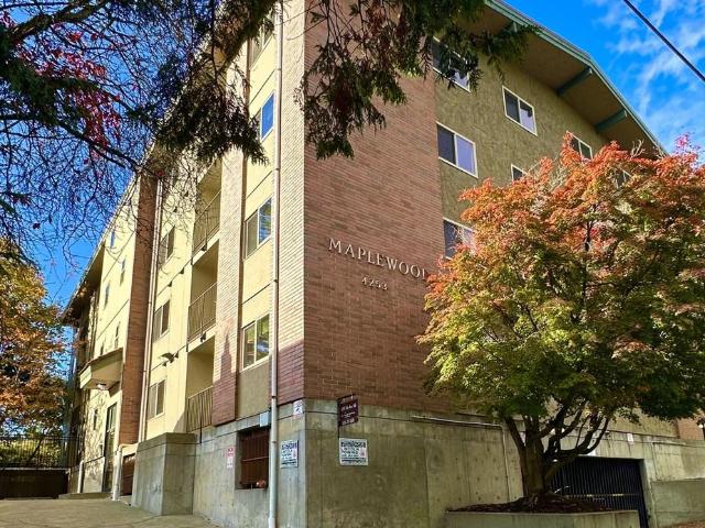 Maplewood Apartments 3 Bedroom Apartment for Rent at 4253 7th Ave Ne, Seattle, WA 98105 University District