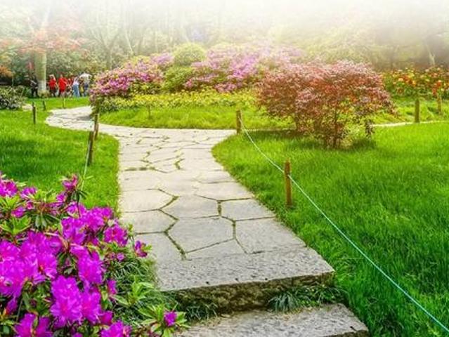 Sector 78 Residential Plot For Sale Gurgaon