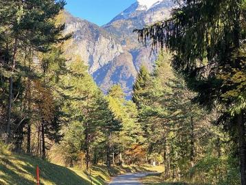 MARTIGNY OUEST SCHÖNES GEBÄUDE INTERESSANTER ERTRAG