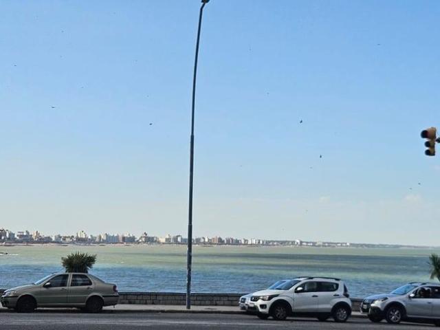 Mar del Plata, General Pueyrredón, Provincia de Buenos Aires