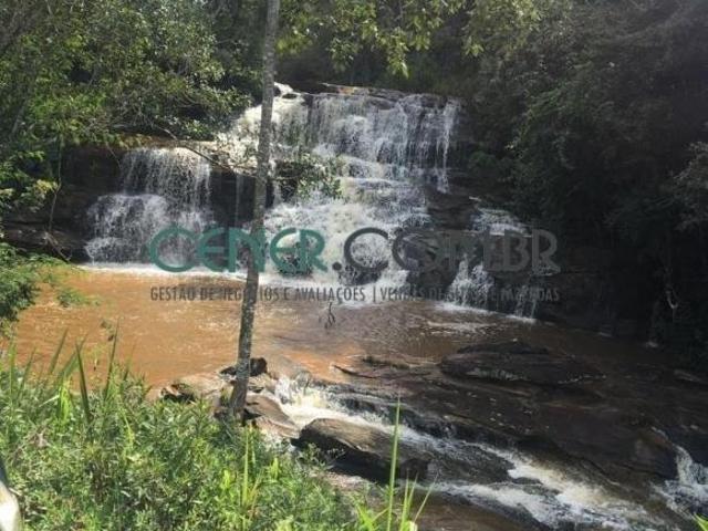Maravilhosa Fazenda de 100 ha com Imponente Sede Centenária em Oportunidade
