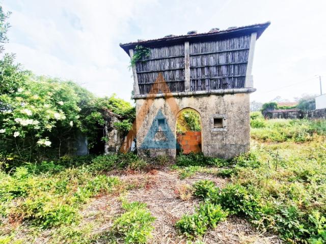 Maravilhosa quinta com casa e terreno