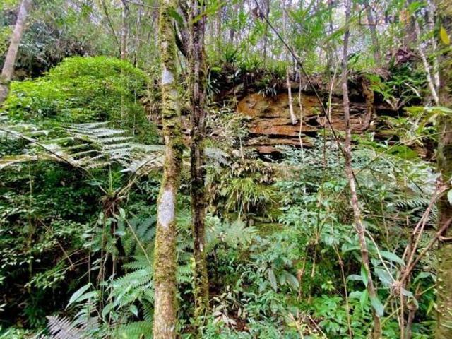 Maravilhoso terreno a venda na divisa entre Toledo e Itapeva, com área total de 26.000m², vista desl