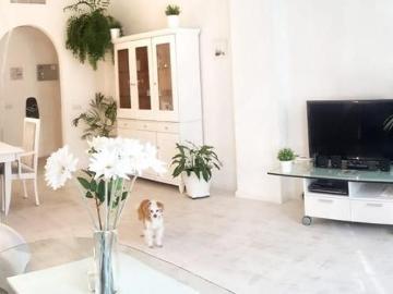 Marbella, Marbella, Andalusia 29601