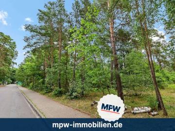 Märchenwald sucht neue Helden Prinzen, Feen & Abenteurer willkommen!