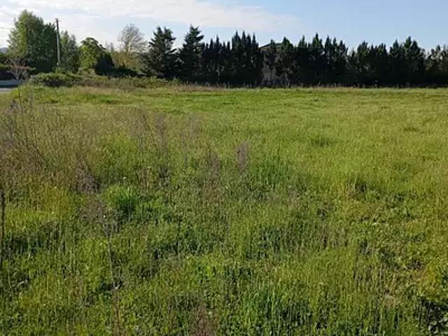 Marcilloles 38260 Programme neuf maison neuf à vendre 3 pièces