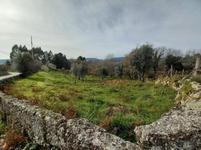 Marco de Canaveses Marco de Canaveses 87075413