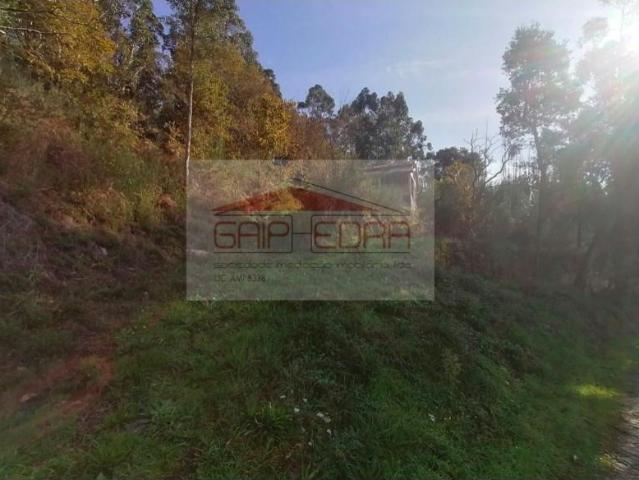 Marco de Canaveses Marco de Canaveses 87079881
