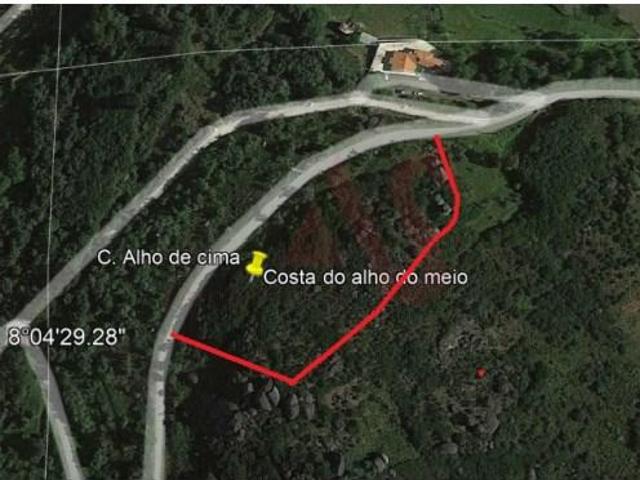 Marco de Canaveses Marco de Canaveses 89235834