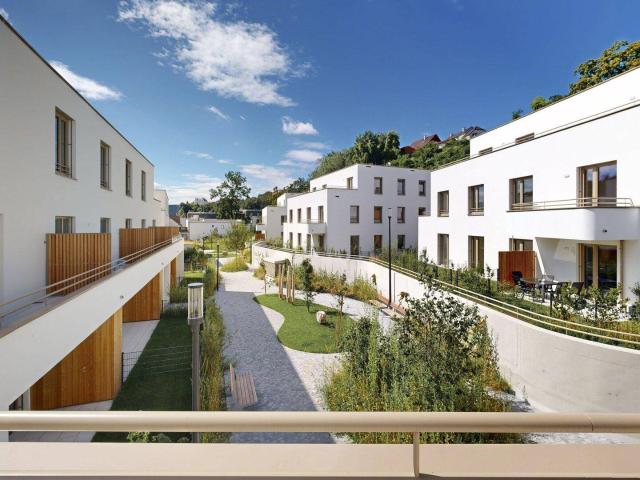 marena Wohnen in Krems: 4 Zimmer Wohnung mit Terrasse und Südblick