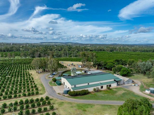 MARGRAM MUNDUBBERA ORCHARD Premium Established Citrus Farm and Business in Queensland's Citrus Capital
