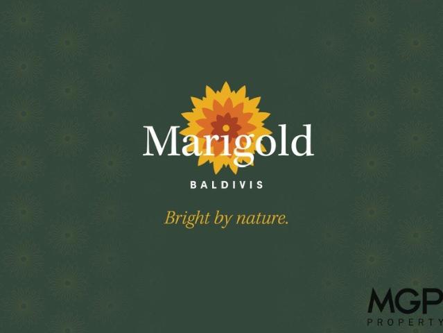 Marigold Estate Baldivis