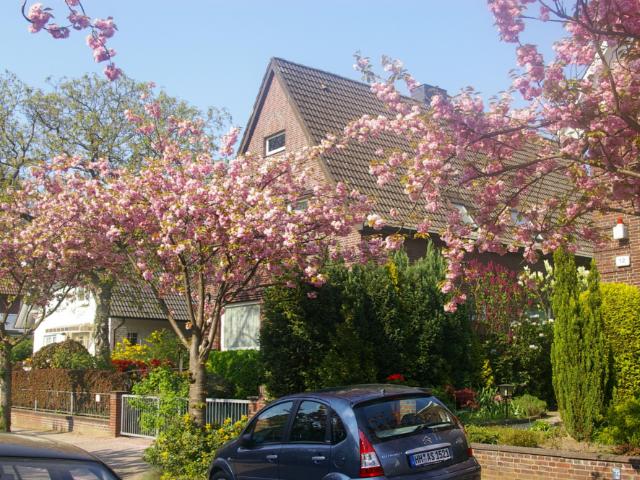 Marienthal Westerkamp in der Kirschblütenstrasse