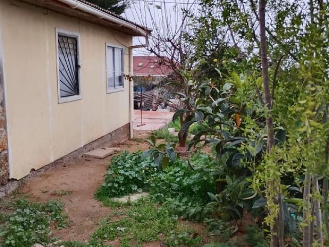 Marin sitio 18