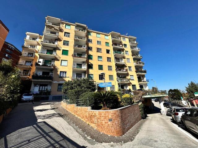marino e cotronei 6 bilocale 60mq