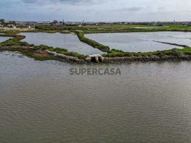 Marinha com 5 ha, destinada a piscicultura, em Sarilhos Grandes, Montijo