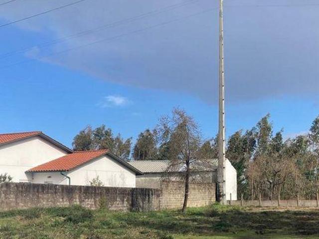 Marinha Grande Leiria 99315220