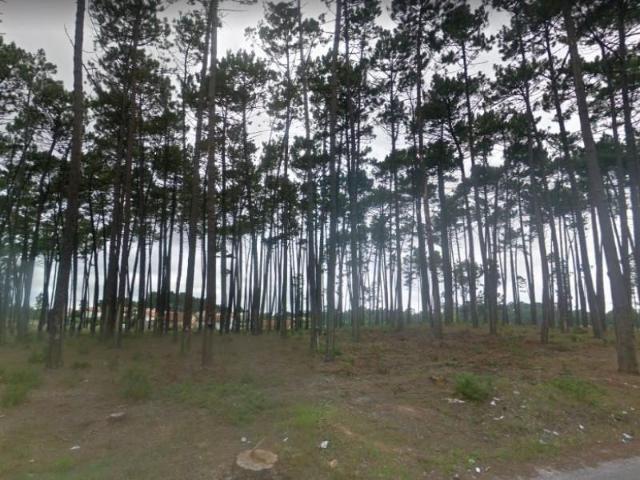 Marinha Grande Marinha Grande 97123416
