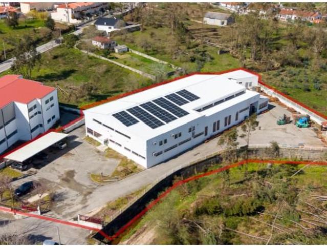 Marinha Grande Marinha Grande 100219447