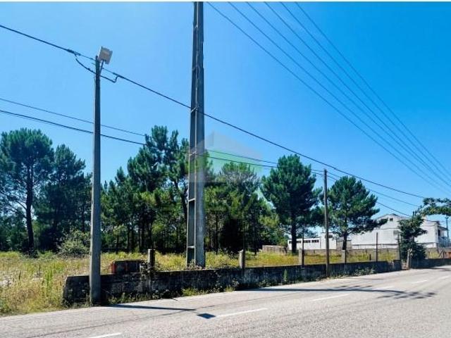 Marinha Grande Marinha Grande 105792468