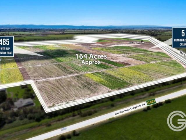 MARKET GARDEN OPPORTUNITY Premium 164 Acres 2 Titles 3 Road Frontages